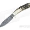 Bill Miller Custom Hunter Sambar Stag and Damascus