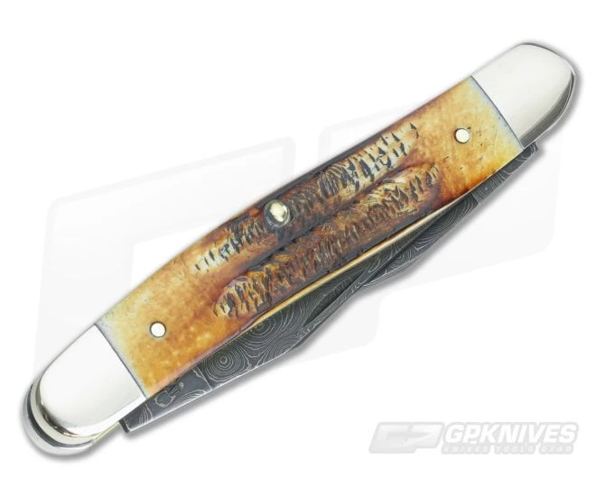 Case Muskrat Damascus Bone Stag Handles 34803 - Image 2