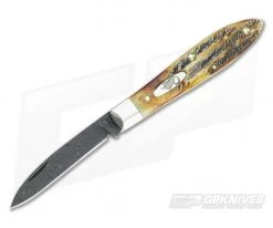 Case Teardrop Damascus Bone Stag Handle 34805