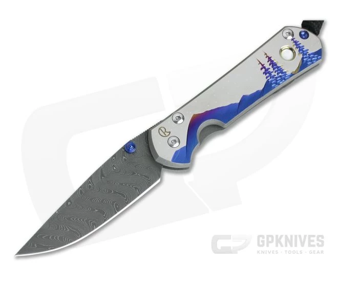 Chris Reeve Small Sebenza 31 Night Sky Unique Mother of Pearl Cabochon Boomerang Damascus Folder 001